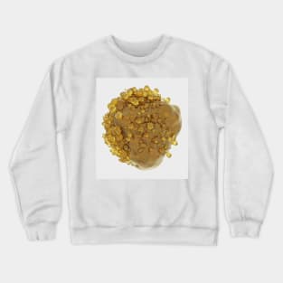 Amber cristal Crewneck Sweatshirt